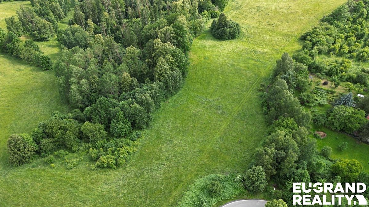 Prodej louky 7471 m², Zákupy – fotka 1 z 3