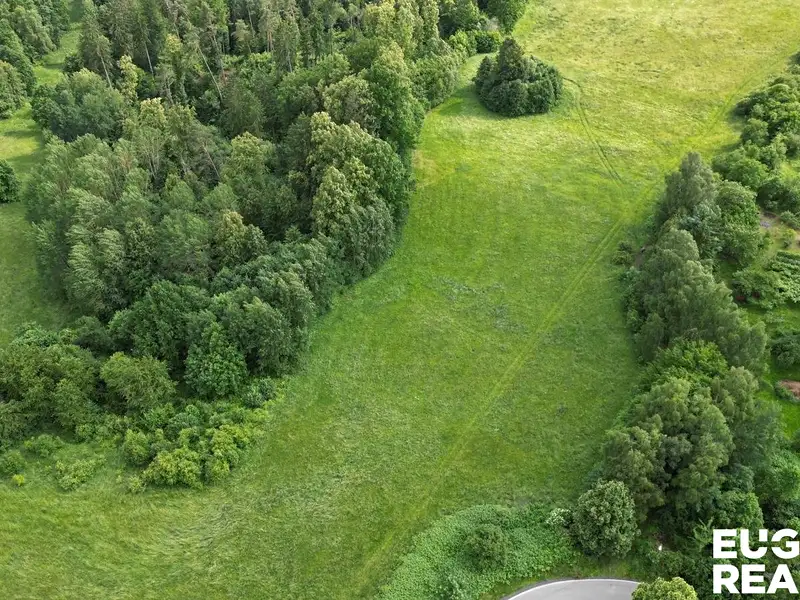 Prodej louky 7471 m², Zákupy – náhled fotky 1