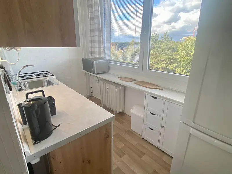 Pronájem bytu 3+1 53 m², Pardubice – náhled fotky 2