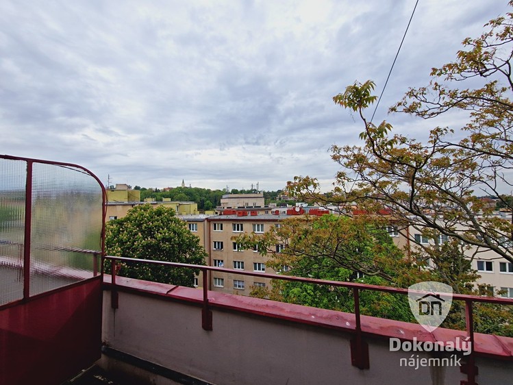 Квартира 1+kk в оренду, 16 м² (10 з 11)