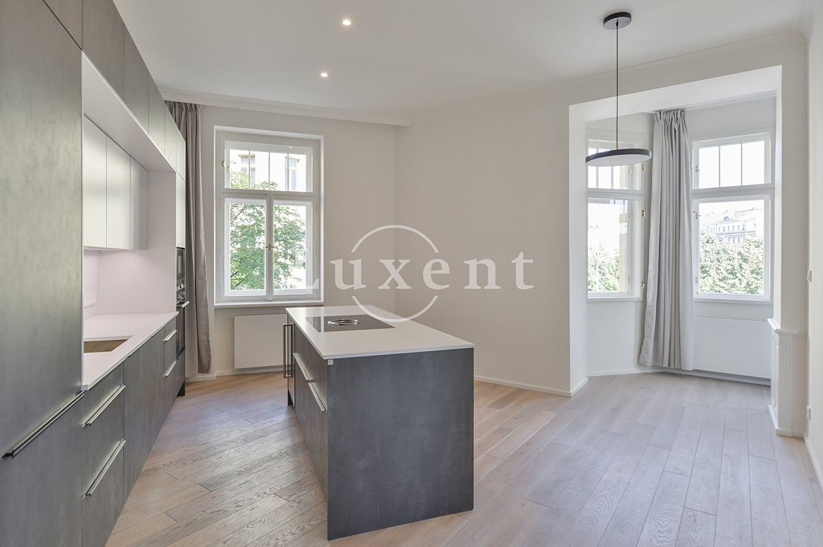 Pronájem bytu 3+kk 137 m² – fotografie 3