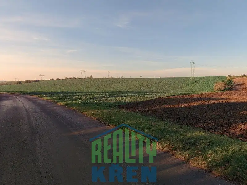 Prodej pole 132775 m², Plaňany – náhled fotky 3