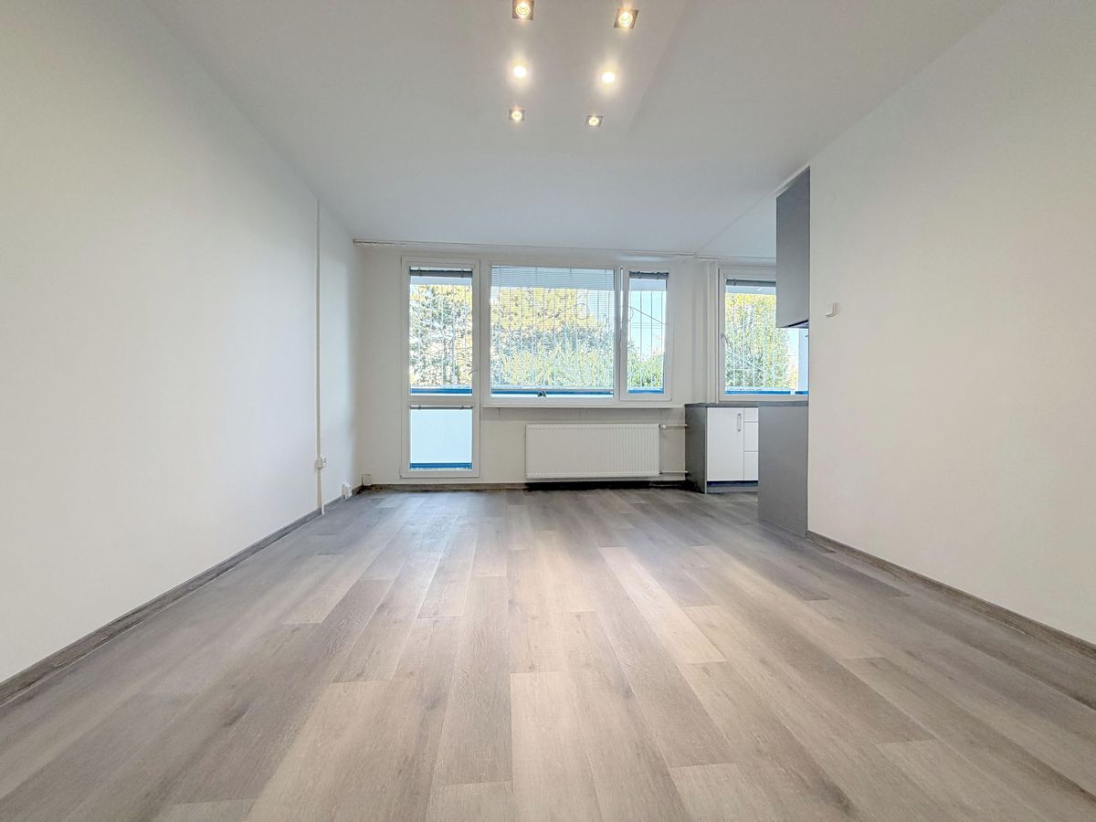 Pronájem bytu 1+kk 28 m²