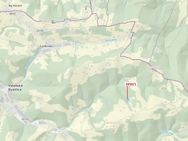 Dražba louky 3375 m², Valašská Bystřice – náhled fotky 1