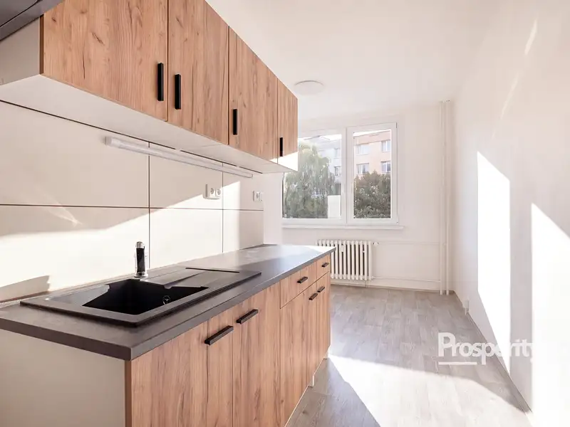 Prodej bytu 2+1 62 m², Ústí nad Labem – náhled fotky 2