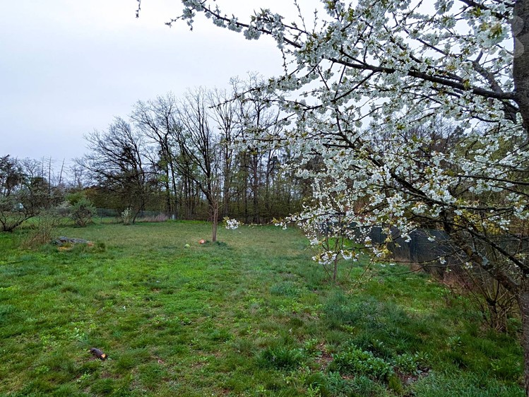 Grundstück zum Kauf, 750 m² (7 von 13)