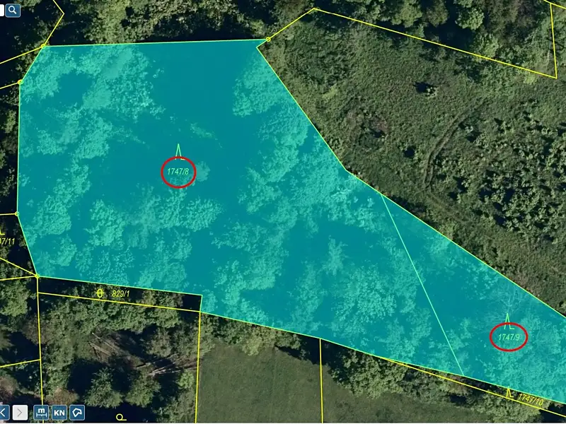 Prodej lesa 7376 m², Hodslavice – náhled fotky 2