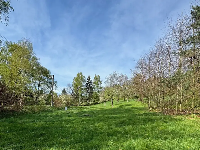 Prodej stavebního pozemku 1706 m², Žandov – náhled fotky 3