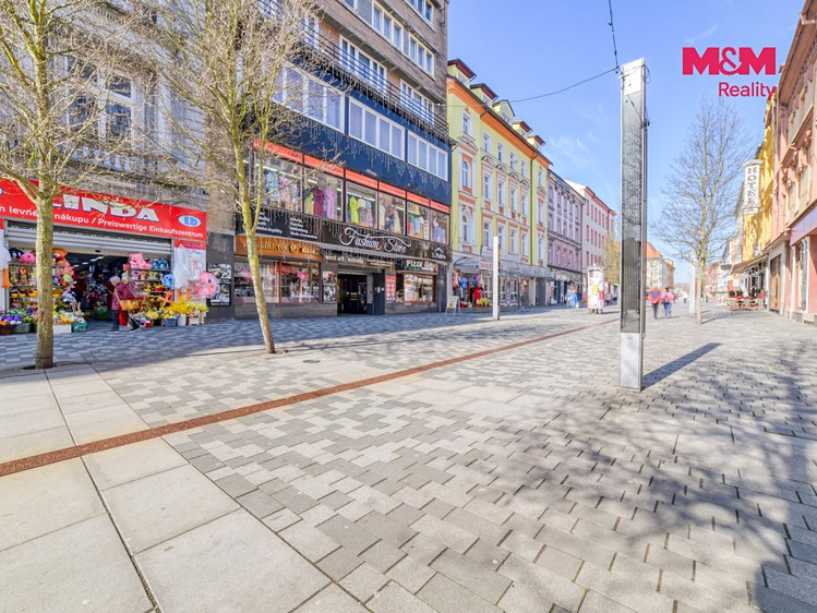 Pronájem bytu 2+1, 72 m² (7 z 24)