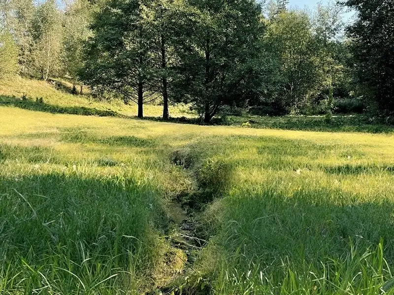 Prodej louky 6838 m², Výprachtice – náhled fotky 1