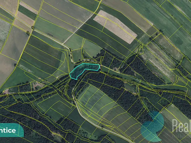 Prodej louky 6838 m², Výprachtice – náhled fotky 3