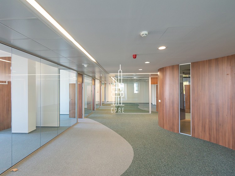 Pronájem komerčního prostoru, 458 m² (5 z 13)