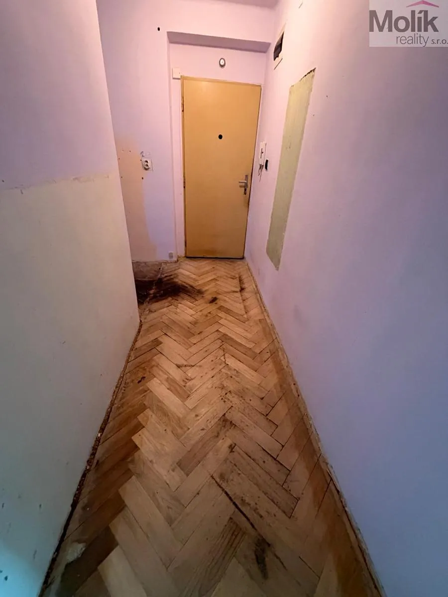 Fotka 9 z 18