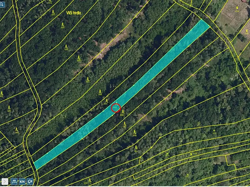 Prodej lesa 2800 m², Kobylí – náhled fotky 1