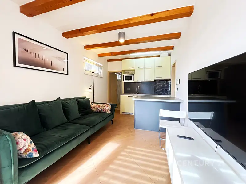 Pronájem bytu 2+kk, 40 m², Brno-město, Brno