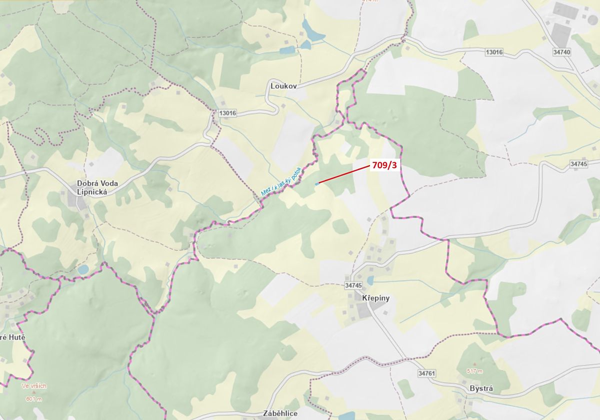 Dražba lesa 350 m², Řečice – fotka 1 z 3