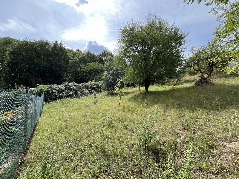 Prodej stavebního pozemku 1379 m², Olomučany – náhled fotky 1