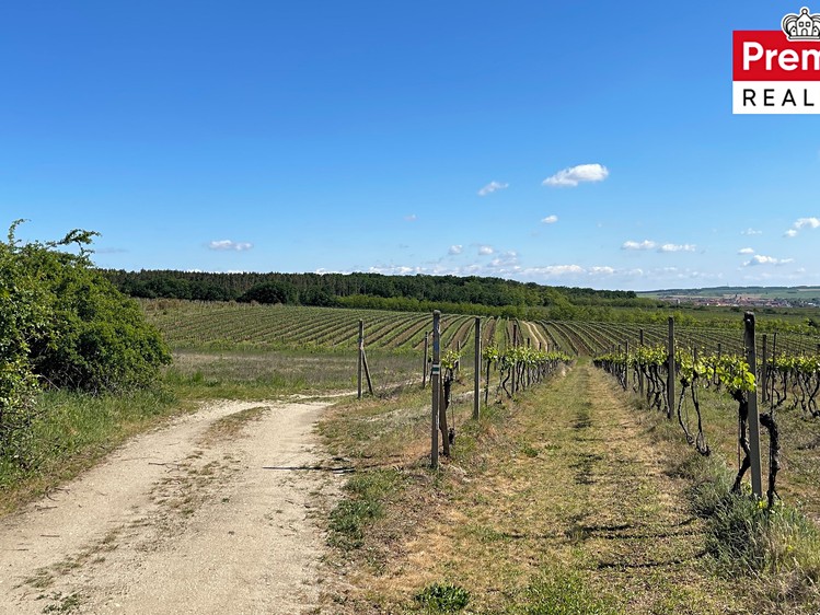 Grundstück zum Kauf, 86.440 m² (22 von 22)