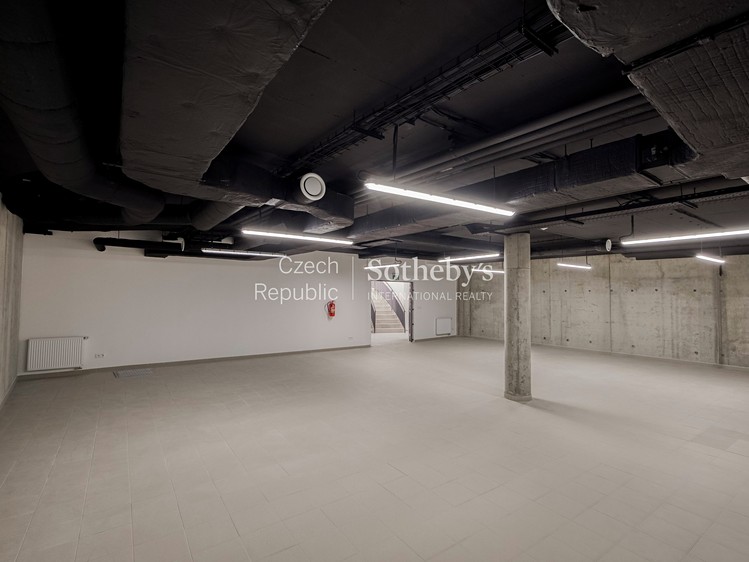 Pronájem komerčního prostoru, 1 500 m² (48 z 61)