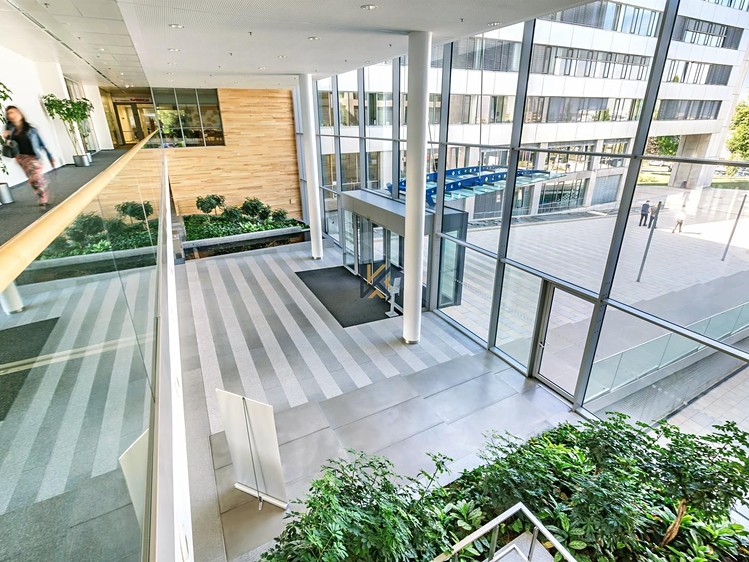 Комерційне приміщення в оренду, 651 м² (6 з 11)