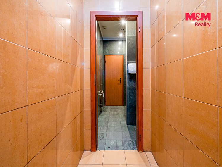 Комерційне приміщення в оренду, 324 м² (13 з 22)