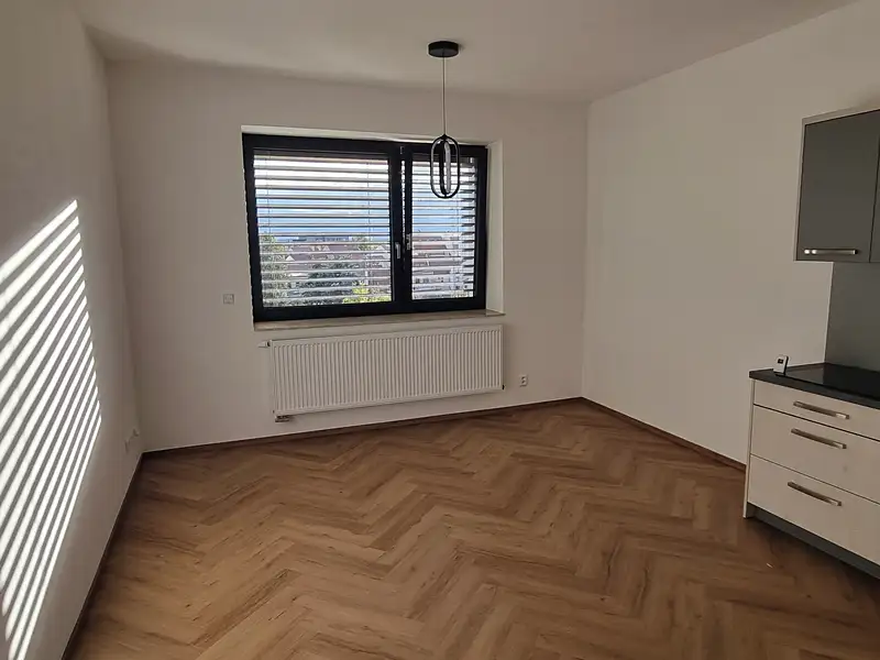 Pronájem bytu 3+kk 63 m², Brno – náhled fotky 2