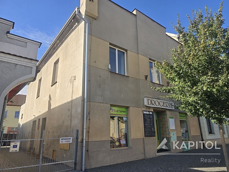 Будинок на продаж, 199 м² (2 з 21)