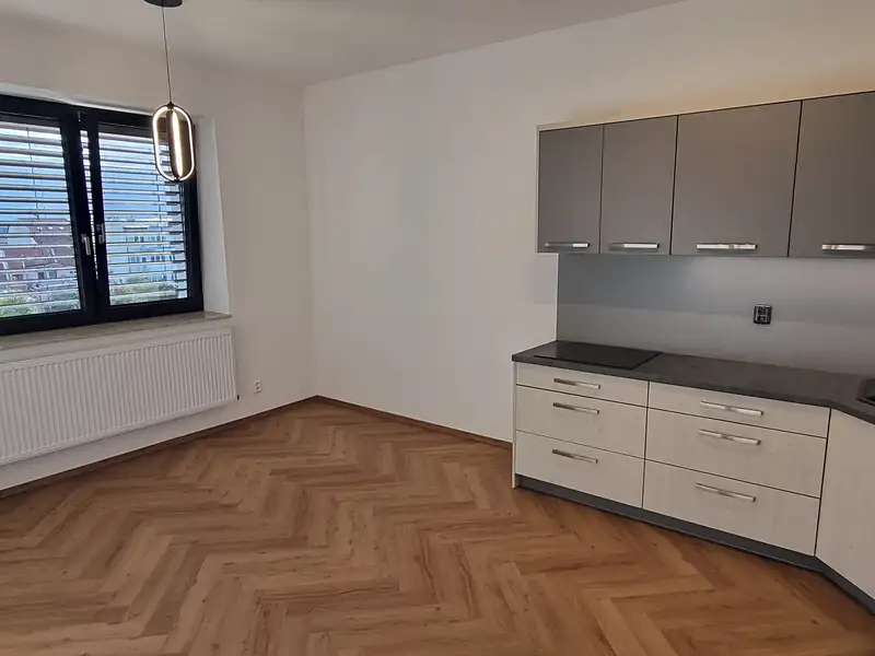 Pronájem bytu 3+kk 63 m², Brno – náhled fotky 3