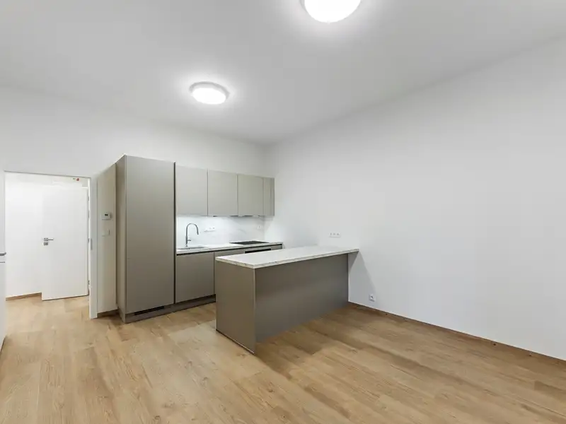 Prodej bytu 2+kk 51 m², Praha – náhled fotky 1