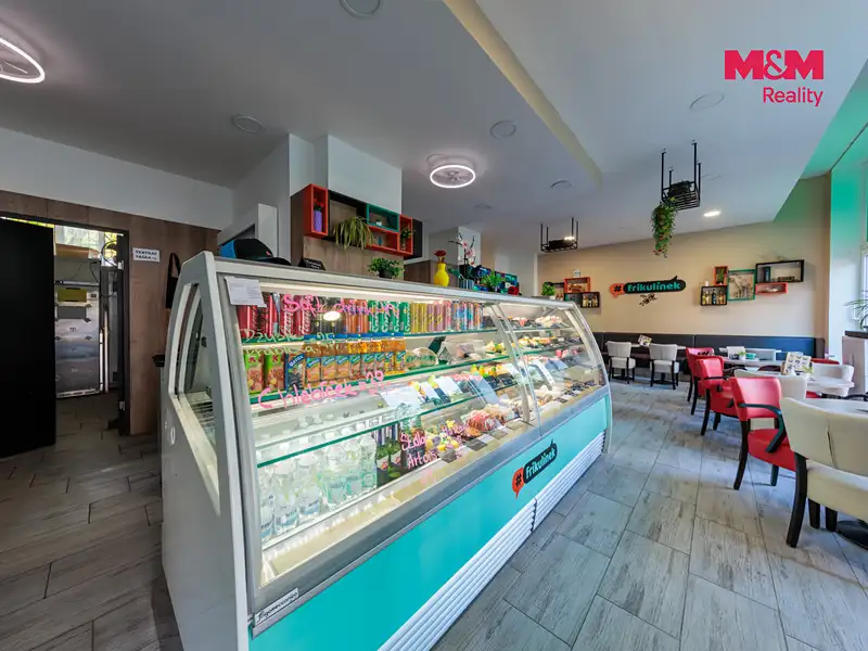 Pronájem obchodního prostoru 65 m², Plzeň – náhled fotky 2