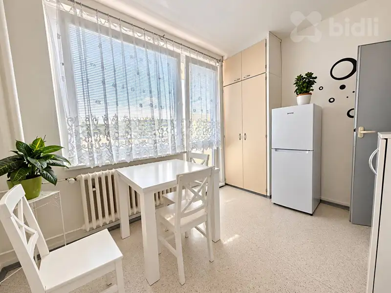 Prodej bytu 1+1 45 m², Šternberk – náhled fotky 3
