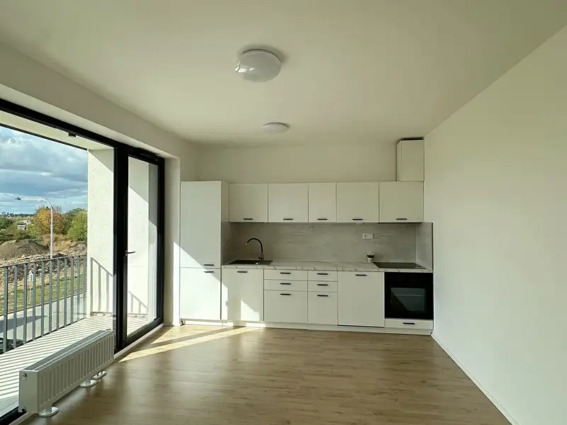 Pronájem bytu 1+kk 39 m², Plzeň – náhled fotky 2