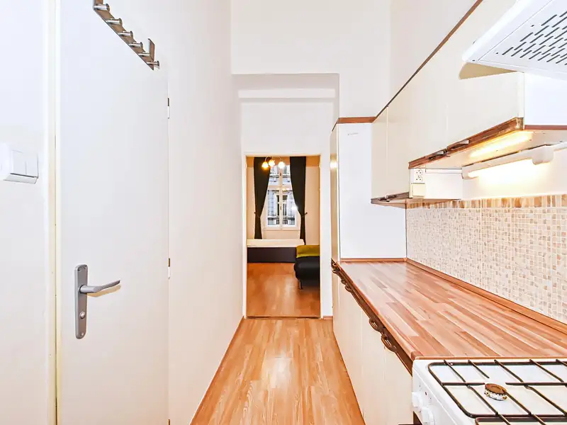Pronájem bytu 1+1 36 m², Praha – náhled fotky 1