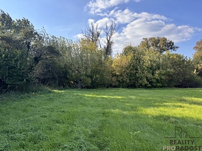 Ділянка на продаж, 3 793 м² (3 з 8)