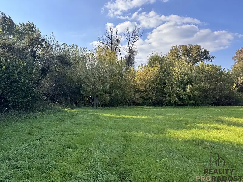 Prodej louky 3793 m², Rohatec – náhled fotky 3