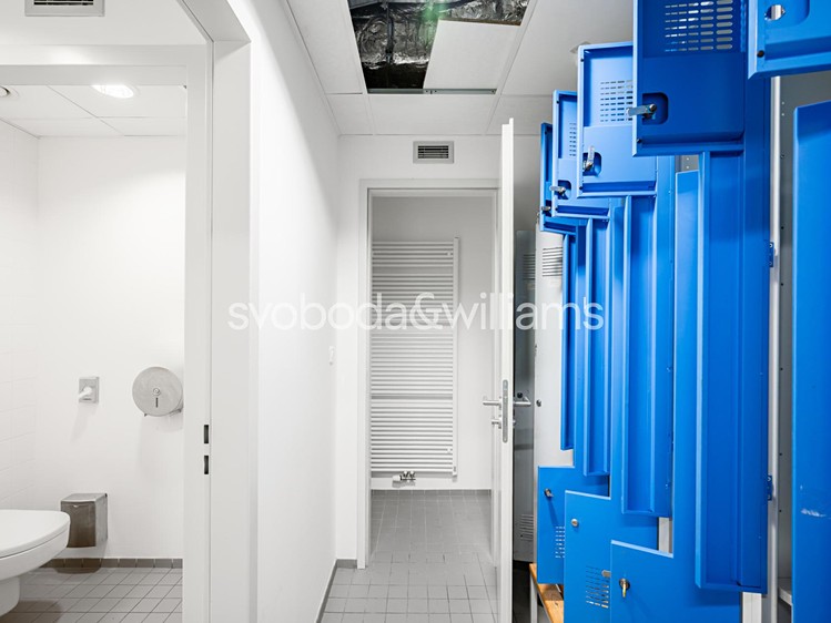 Pronájem komerčního prostoru, 348 m² (9 z 11)