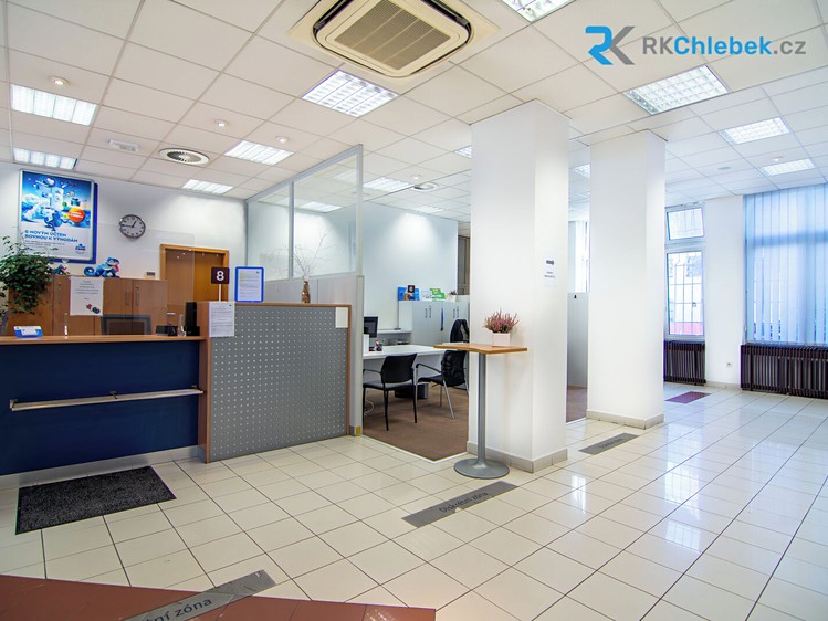 Pronájem komerčního prostoru, 396 m² (7 z 21)