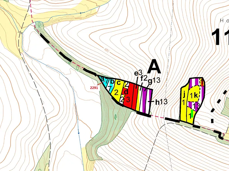 Dražba lesa 529 m², Chotěbudice – náhled fotky 3