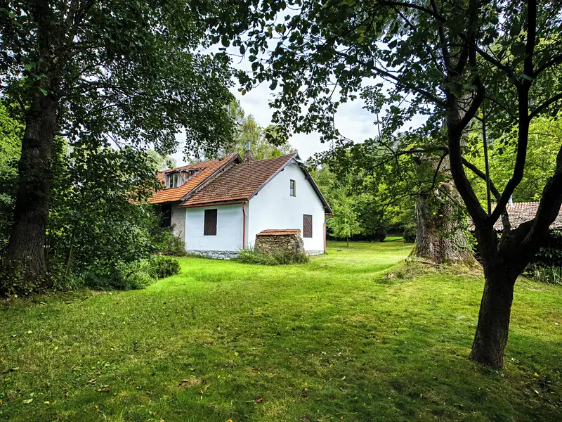 Prodej chalupy 350 m², pozemek 2873 m², Rozsochatec – náhled fotky 1