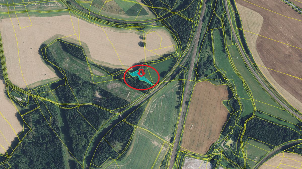 Prodej lesa 2295 m² – fotografie 2