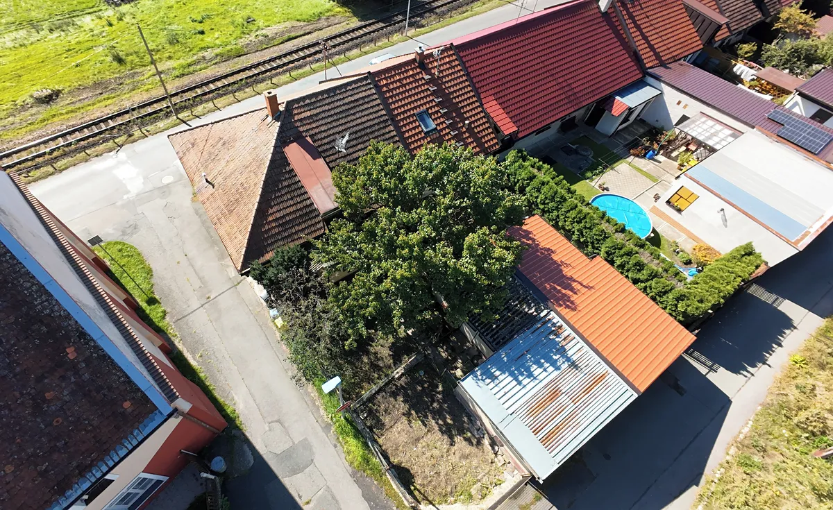 Fotka 12 z 16