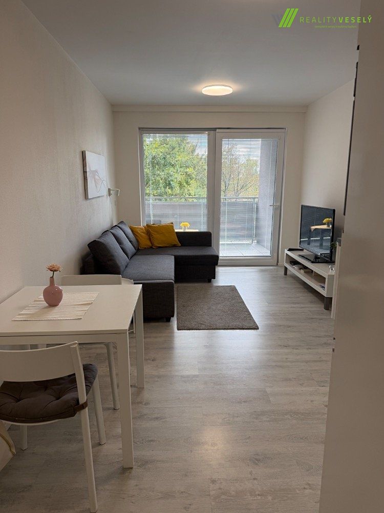 Pronájem bytu 1+kk 25 m² – fotografie 4