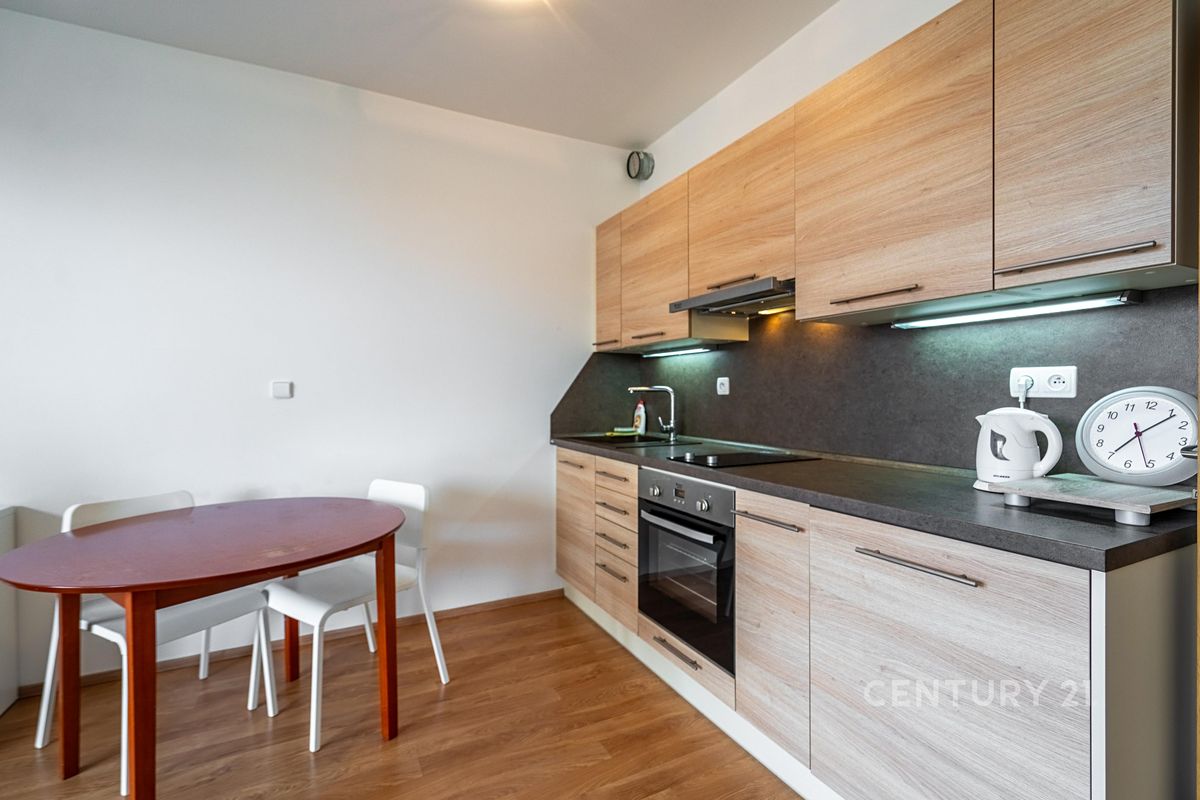 Pronájem bytu 1+kk 40 m² – fotografie 3