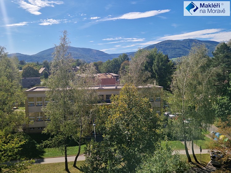 Prodej bytu 1+kk, 34 m² (4 z 31)