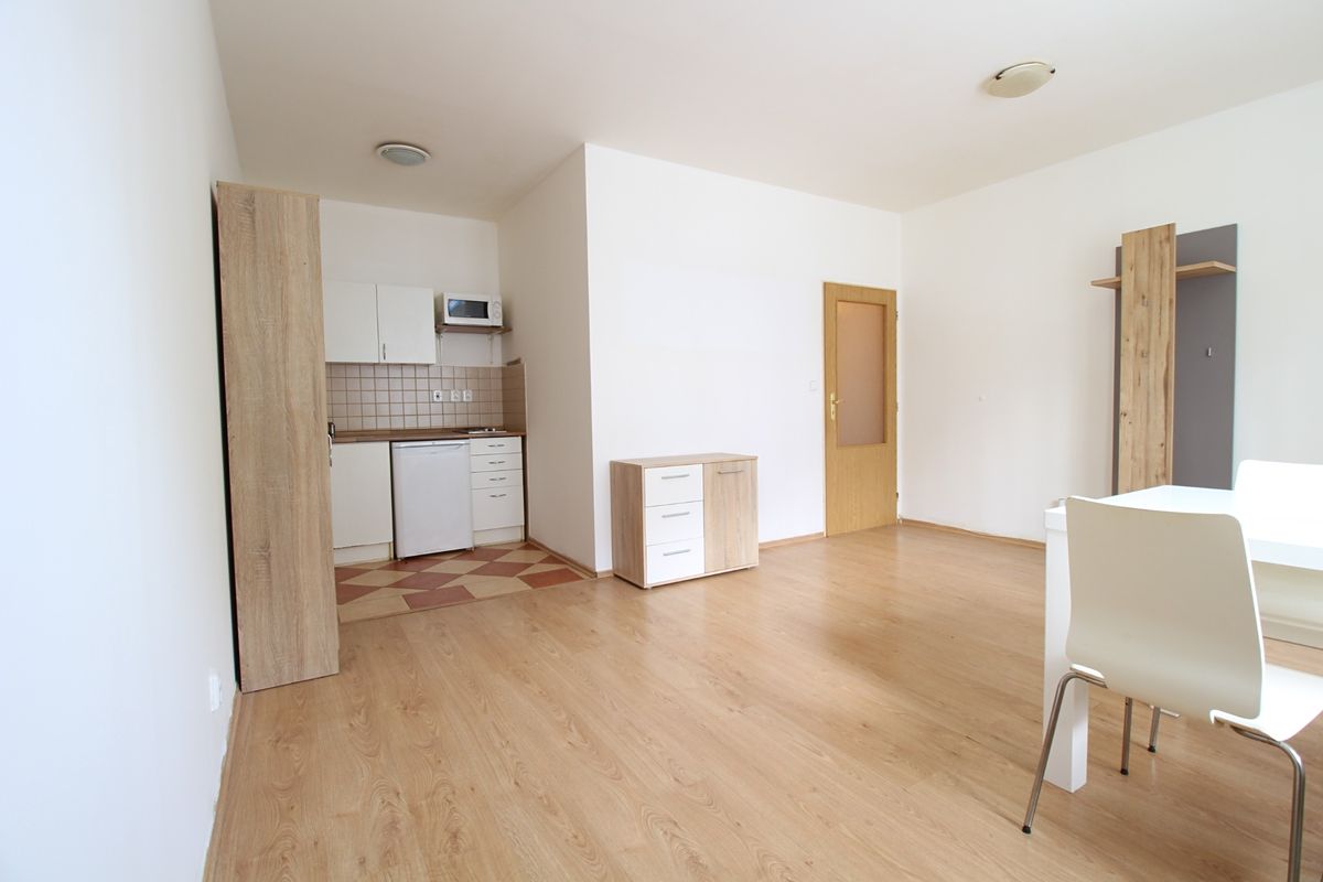 Pronájem bytu 1+kk 31 m² – fotografie 4