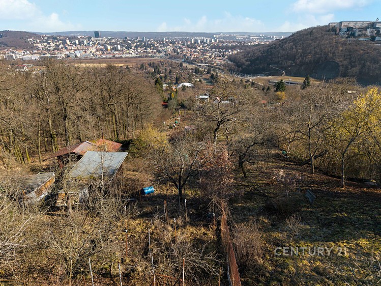 Ostatní