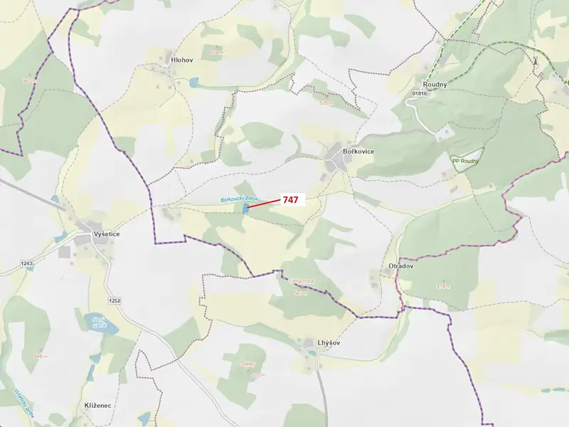 Dražba lesa 3010 m², Zvěstov – náhled fotky 1