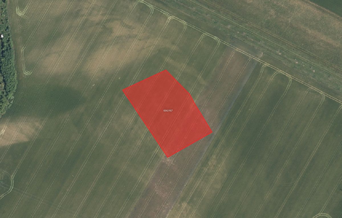 Prodej pole 5630 m² – fotografie 2