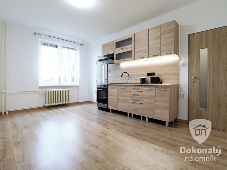 Квартира 1+kk в оренду, 22 м² (4 з 12)