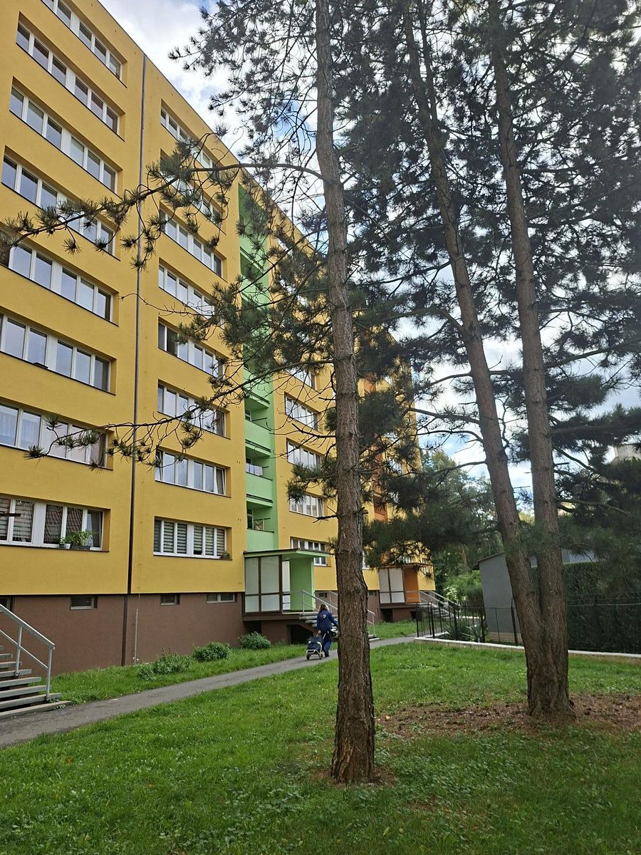 Pronájem bytu 1+1 35 m² – fotografie 2